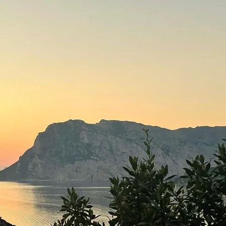 Apartment San Teodoro Punta Est Ampio Trilocale Vista Mare