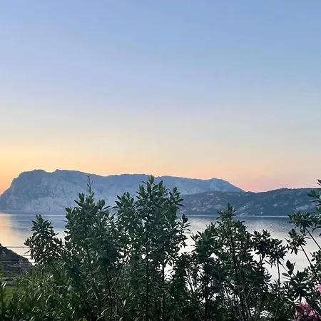 San Teodoro Punta Est Ampio Trilocale Vista Mare *