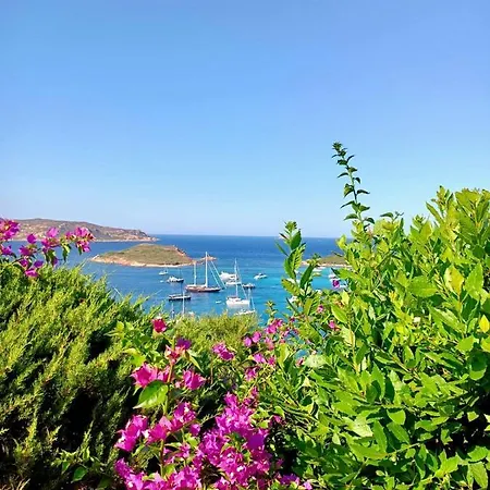 San Teodoro Punta Est Ampio Trilocale Vista Mare *