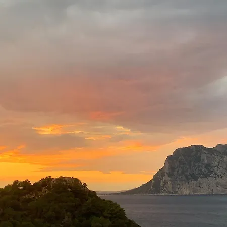 San Teodoro Punta Est Ampio Trilocale Vista Mare 아파트 카파코다카발로