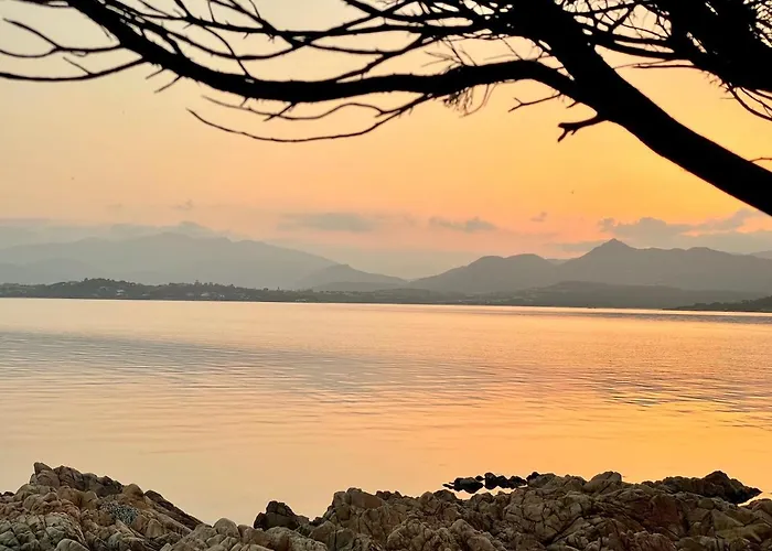 San Teodoro Punta Est Ampio Trilocale Vista Mare *
