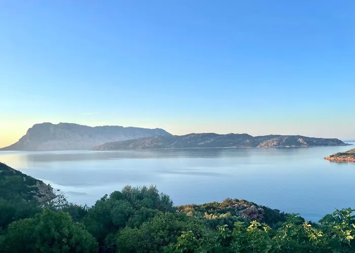 San Teodoro Punta Est Ampio Trilocale Vista Mare *