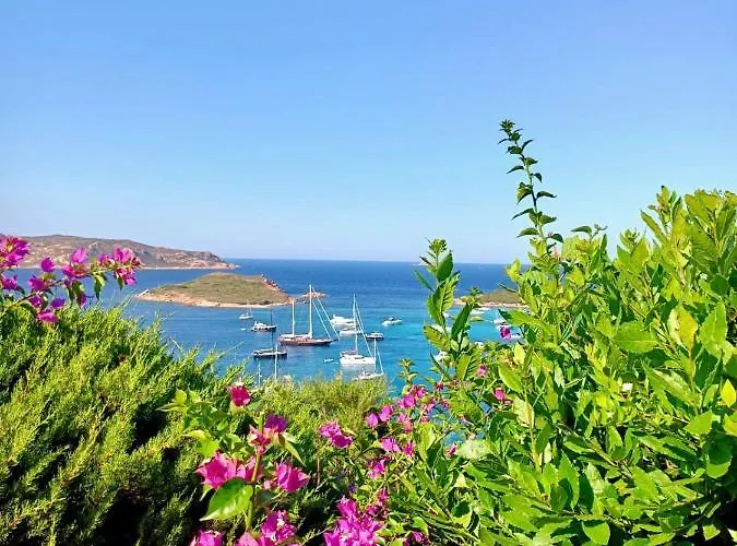 San Teodoro Punta Est Ampio Trilocale Vista Mare *